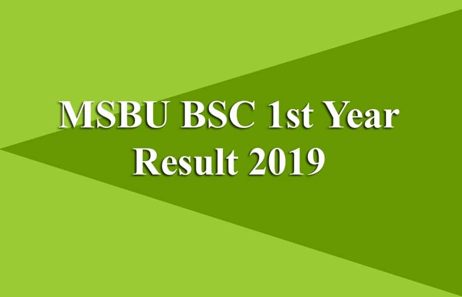 MSBU BSC 1st Year Result 2019 जारी ! Brij University B.SC Exam Results