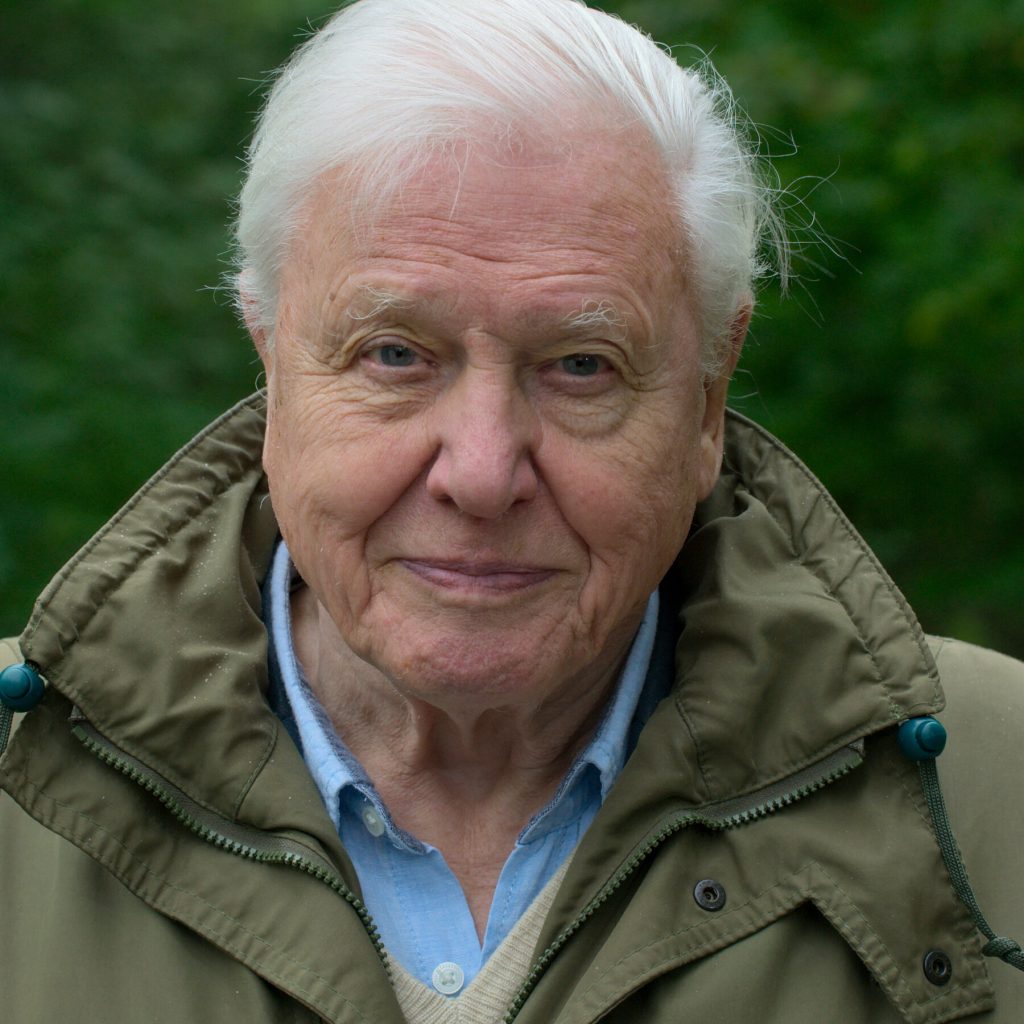 David Attenborough Biography, Wiki, Age, Wife, Net Worth, Parents & More